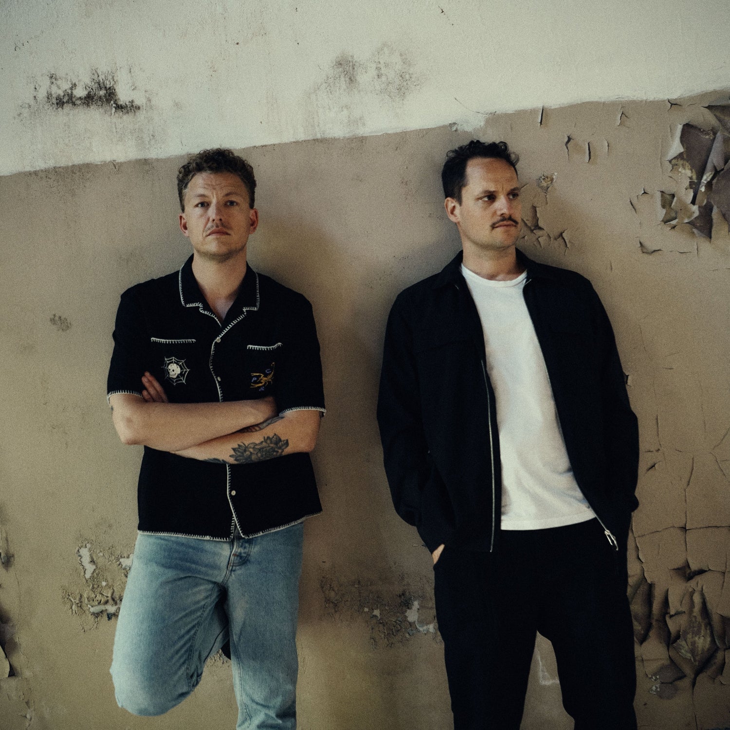 COLD NIGHT FOR ALLIGATORS